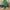 12292891171668339870_2048.jpeg Cute Cat in Santa Hat T-Shirt | Accept Warm Merry Christmas Cat