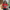 20260904050521-1f1a81e3-a931-6eaa-a28e-1252edfa0a86.png Cute Cat in Santa Hat T-Shirt | Accept Warm Merry Christmas Cat