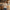 20260904050525-1f1a81e3-d42a-63f0-a10c-924cf6c634be.png Thankful for My Turkeys T-Shirt | Thanksgiving Shirt | Fall Shirt
