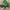 8948970272265144958_2048.jpeg Accept Warm Christmas Tree T-Shirt | Funny Christmas shirt | Christmas Gift for Her